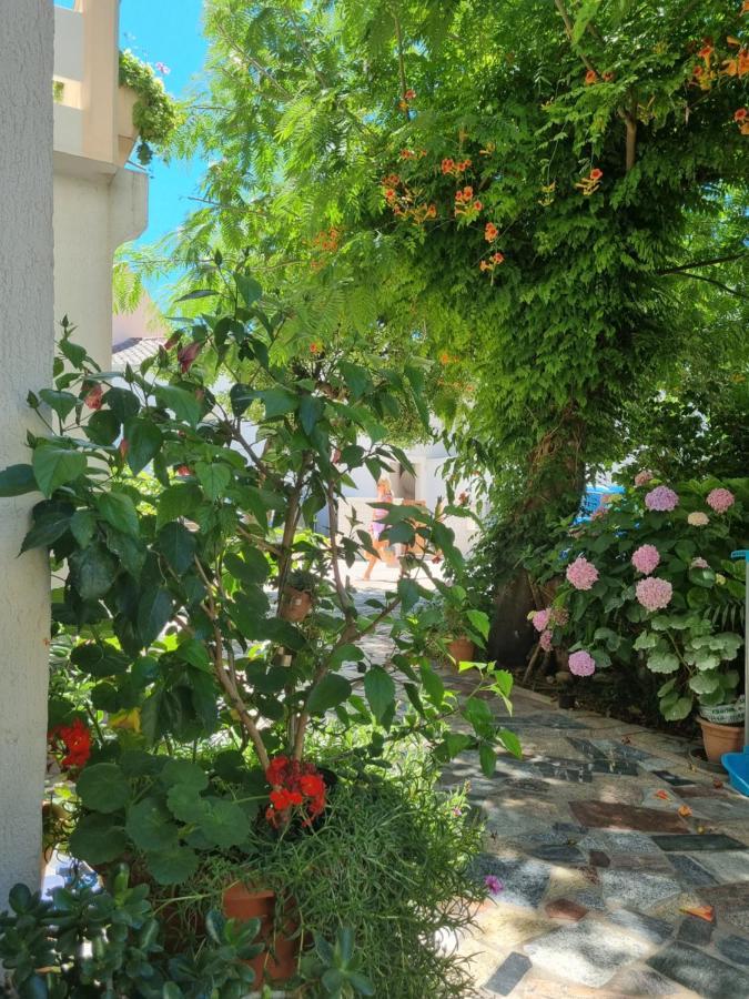 Ana & Marko Rooms Novalja Εξωτερικό φωτογραφία